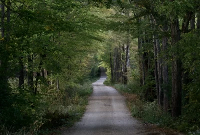 Beyond Mendon: Unveiling Enchanting Road Trips from the Heart of Vermont